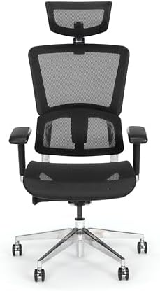 NBF Ergonomic Leather Office Chair with Adjustable Armrests and Headrest Removable,Ventilated Mesh High Back Computer Chair with Seat Slider,28" D x 28" W x 36" H, Aluminum, Gray