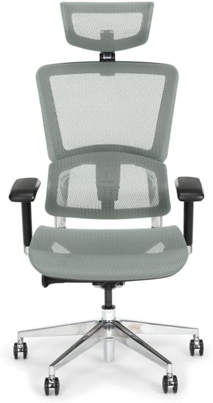 NBF Ergonomic Leather Office Chair with Adjustable Armrests and Headrest Removable,Ventilated Mesh High Back Computer Chair with Seat Slider,28" D x 28" W x 36" H, Aluminum, Gray