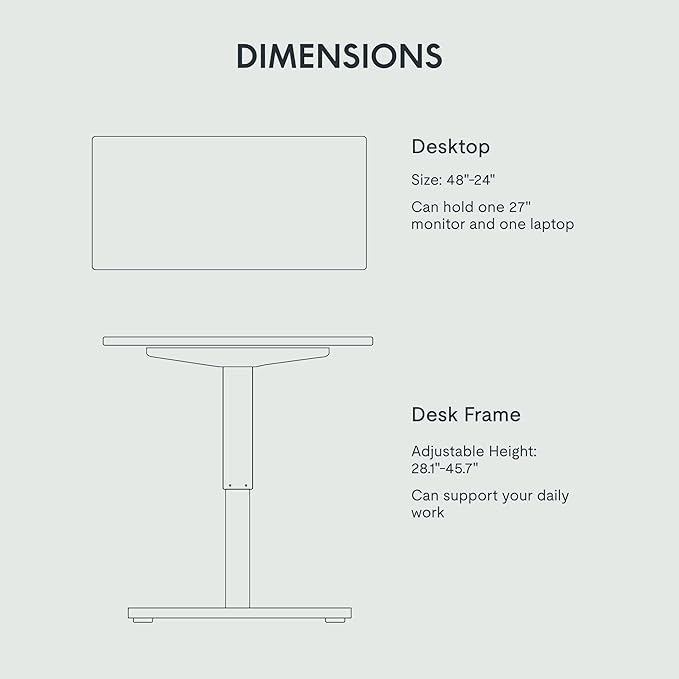 FLEXISPOT EN1 One-Piece Height Adjustable 48 x 24 inch Electric Standing Desk, Stand Up Desk for Home Office (Silver Frame + 48" Natural Top, 2 Packages)