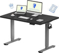 FLEXISPOT EN1 One-Piece Electric Height Adjustable Desk, 48 x 30 Inches Standing Desk Stand Up Desk Workstation (Silver Frame + 48 in Black Top, 2 Packages)