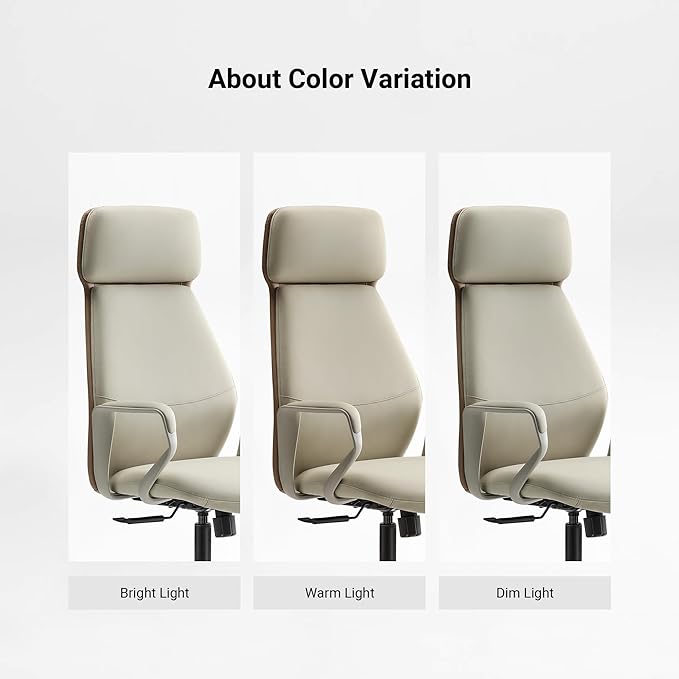 EUREKA ERGONOMIC Aric Executive Office Chair, High Back Computer Desk Chair with Lumbar Support, Premium PU Leather, Ergonomic Armrests, Height Adjustable Swivel Base (Beige)