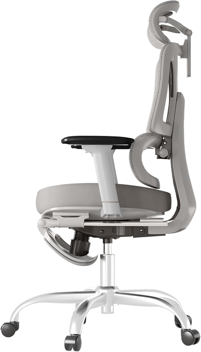 FLEXISPOT ErgoX Premium Ergonomic Office Chair with Footrest- Adjustable 3D Armrests, Dynamic Lumbar Support, Recline & Tilt Function, Mesh Seat, for Home & Office Use,Grey Foam