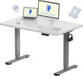 FLEXISPOT EN1 One-Piece Standing Desk with 1-Inch Thick Desktop, 48"x30" Electric Height Adjustable Desk for Home Office & Multi-Device Workstations, White(Silver Frame)