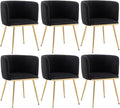Canxkun Velvet Dining Chairs Set of 6, Barrel Dining Chairs with Gold Metal Legs, Modern Upholstered Dining Room Chair for Dining Room, Kitchen, Vanity (Black)