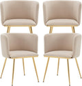 Canxkun Velvet Dining Chairs Set of 4, Barrel Dining Chairs with Gold Metal Legs, Modern Upholstered Dining Room Chair for Dining Room, Kitchen, Vanity (Beige)