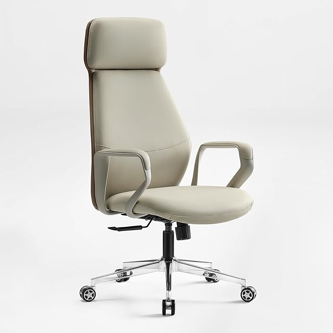EUREKA ERGONOMIC Aric Executive Office Chair, High Back Computer Desk Chair with Lumbar Support, Premium PU Leather, Ergonomic Armrests, Height Adjustable Swivel Base (Beige)