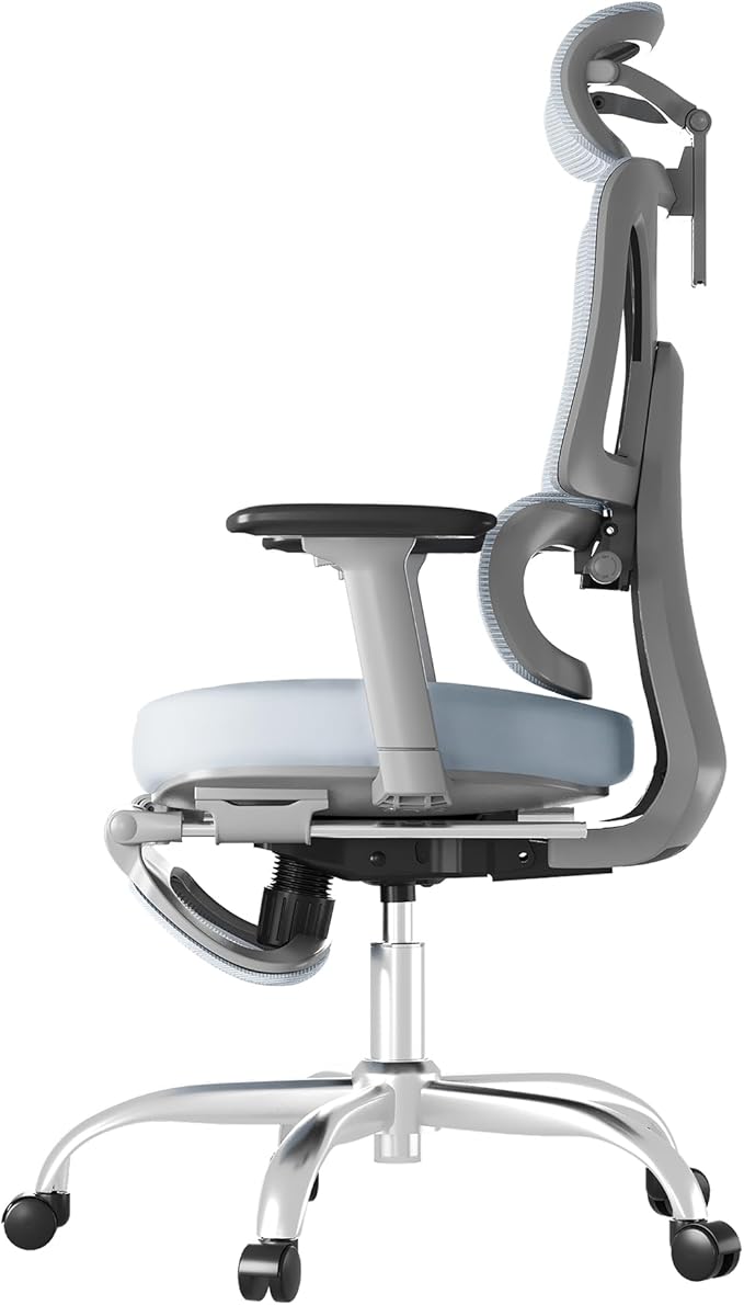 FLEXISPOT ErgoX Premium Ergonomic Office Chair with Footrest- Adjustable 3D Armrests, Dynamic Lumbar Support, Recline & Tilt Function, Mesh Seat, for Home & Office Use,Foam Blue