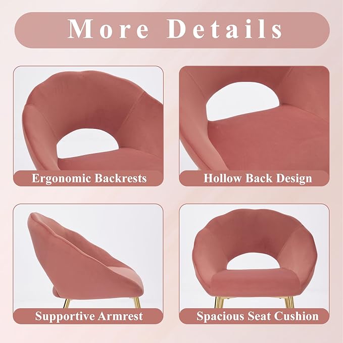 Modern Small Accent Chair Set of 2, Comfy Velvet Vanity Chair with Shell Back & Golden Metal Legs, Decorative Chair no Wheels for Living Room, Makeup Room, Bedroom, Pink