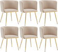 Canxkun Velvet Dining Chairs Set of 6, Barrel Dining Chairs with Gold Metal Legs, Modern Upholstered Dining Room Chair for Dining Room, Kitchen, Vanity (Beige)