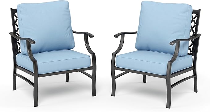 HERA'S HOUSE Outdoor Chairs Set of 2, 2 x Patio Chair with Blue Cushions, All Weather Outdoor Furniture for Lawn Garden Backyard Deck(Leg Chairs)