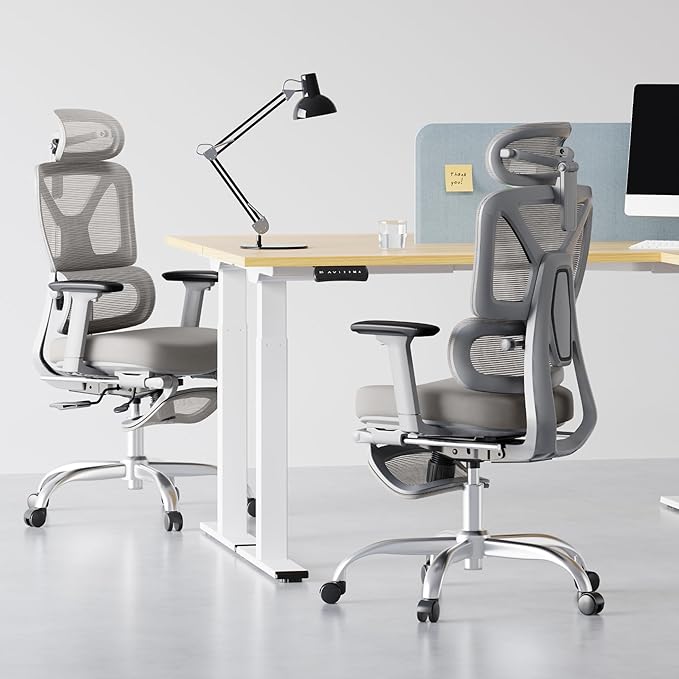 FLEXISPOT ErgoX Premium Ergonomic Office Chair with Footrest- Adjustable 3D Armrests, Dynamic Lumbar Support, Recline & Tilt Function, Mesh Seat, for Home & Office Use,Grey Foam