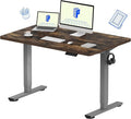 FLEXISPOT EN1 One-Piece Standing Desk 48 x 30 Inches Height Adjustable Electric Desk (Silver Frame + Rustic Top, 2 Packages)