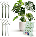 Twigs GA - Plant Support Stakes for Indoor & Outdoor Use, Durable Trellis Alternative for Climbing & Potted Plants, Houseplant Stem Holder Structures - Monstera (Dark Green), 10 Pack, 22" L, Original