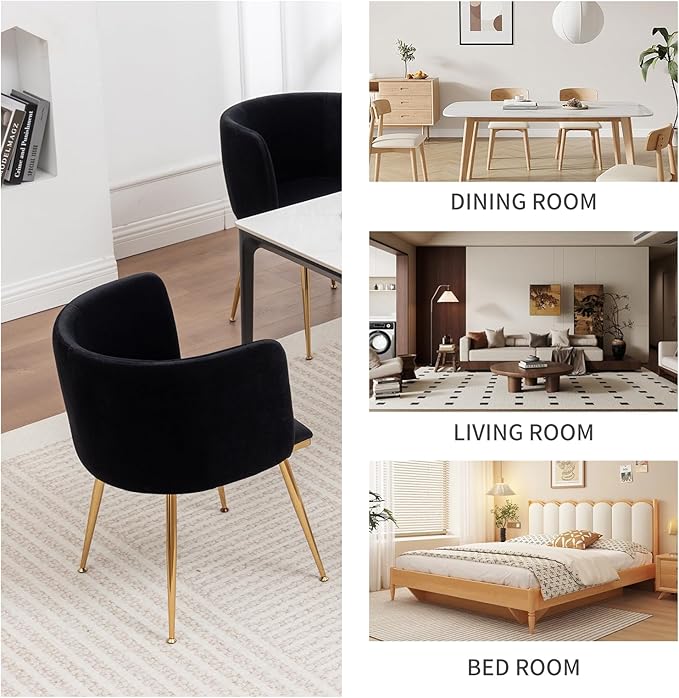 Canxkun Velvet Dining Chairs Set of 2, Barrel Dining Chairs with Gold Metal Legs, Modern Upholstered Dining Room Chair for Dining Room, Kitchen, Vanity (Black)