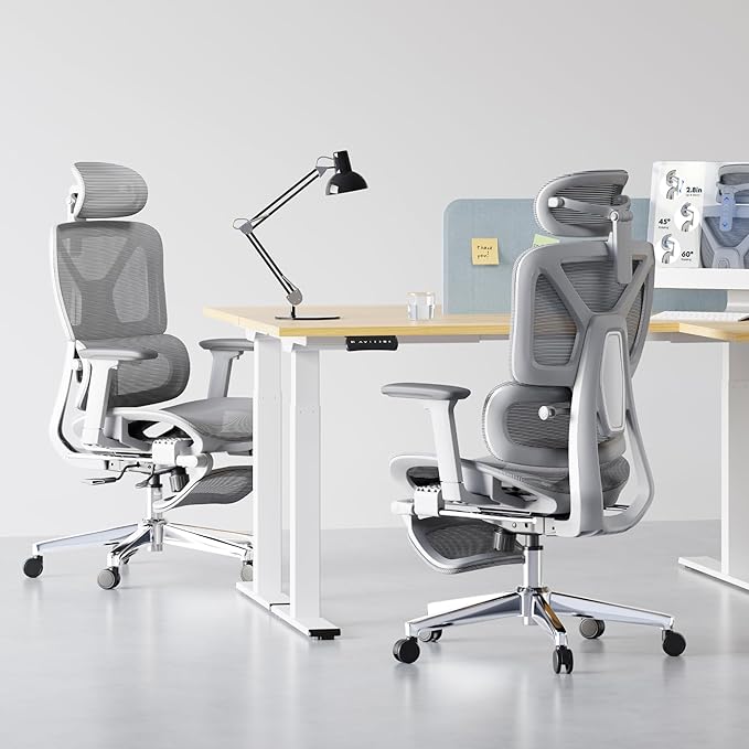 FLEXISPOT ErgoX Premium Ergonomic Office Chair with Footrest- Adjustable 3D Armrests, Dynamic Lumbar Support, Recline & Tilt Function, Mesh Seat, for Home & Office Use,Light Grey