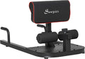 Soozier 3-in-1 Padded Push Up Sit Up Deep Sissy Squat Machine Home Gym Fitness Equipment