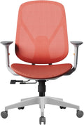 Mesh Office Chair – Ergonomic Office Chair with Lumbar Support, Adjustable Armrests & Sliding Soft Seat Cushion – Holds Up to 270lbs (Red)