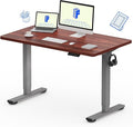 FLEXISPOT EN1 One-Piece Standing Desk, 48 x 24 Inches Electric Height Adjustable Desk for Home Office (Silver Frame + 48 in Mahogany Top, 2 Packages)