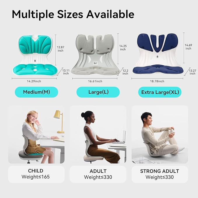 BKT Lumbar Support Seat Cushions Oversized Edition Ergonomic Office Chair for Students Office Workers Nursing Mothers Long Sitting Outdoor Fishing Floor Chair (XL-Prussian Blue)
