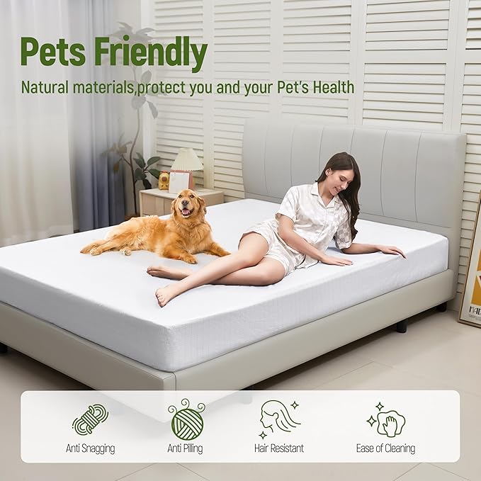 Grounding Sheets Twin XL,90% Cotton+10% Pure Silver Fiber,Grounded Bed Sheet,Deep Pocket Bare Earth Grounding Sheet,Miracle Earth Sheets Well Bedding for Better Sleep & Wellness (White,39"x80"x15")