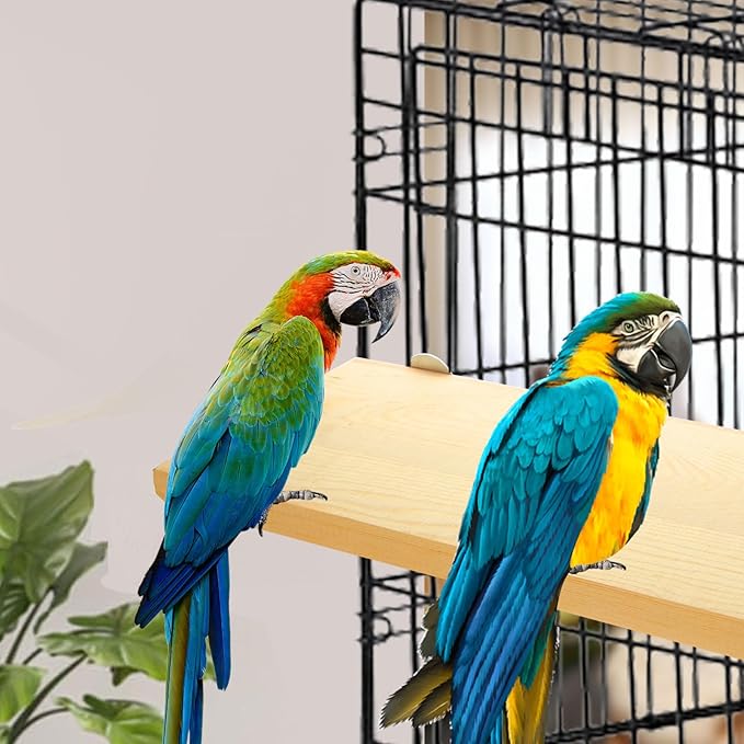 DIRBUY 4 Pack 5 x 12 Inches Bird Perches - Natural Wooden Flat Bird Perch - Rectangle Bird Perch Stand Platform for Parrot, Budgies, Parakeet, Cockatiels, Conure, Lovebirds