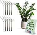 Twigs GA - Mini Twigs Plant Support Stakes for Small Plants, Indoor & Outdoor Use, Gardening Supplies, Garden Accessories, Trellis & Ring Alternative, Made in USA - Moonstone, 10 Pack, 12" L
