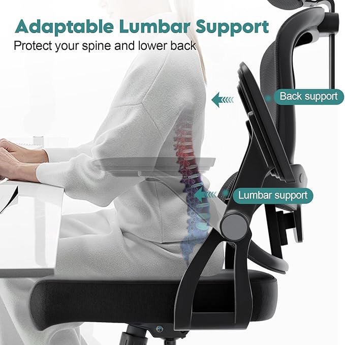 Office Chair Ergonomic Desk Chair with Lumbar Support&Headrest&Flip-up Arms Height Adjustable Rocking Swivel High Back Computer Chair Multi-Angle from 90° to 125° with 350LBS Capacity(05Black)