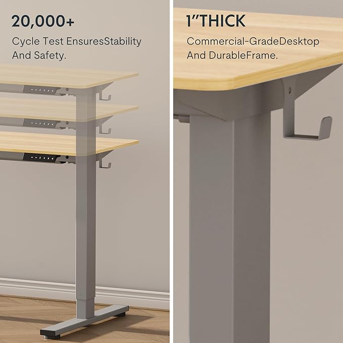 FLEXISPOT EN1 One-Piece Height Adjustable 48 x 24 inch Electric Standing Desk, Stand Up Desk for Home Office (Silver Frame + 48" Natural Top, 2 Packages)