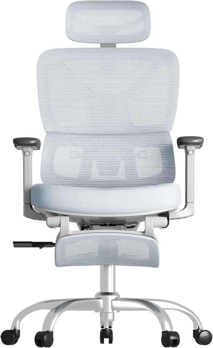 FLEXISPOT ErgoX Premium Ergonomic Office Chair with Footrest- Adjustable 3D Armrests, Dynamic Lumbar Support, Recline & Tilt Function, Mesh Seat, for Home & Office Use,Foam Blue