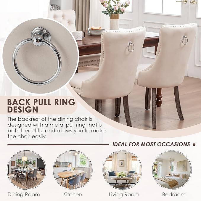 Kiztir Velvet Dining Chair Set of 2, Modern Kitchen Chairs with Nailhead Trim, 2 Pieces Upholstered Dining Room Chairs for Living Room, Bedroom (Beige)