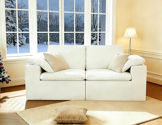 ANONER 78" Loveseat Sofa, Deep Seats, Cloud Sectional Couches for Living Room, 2 Seater Boneless Couch, Modern Modular Loveseats, No Assembly, Beige