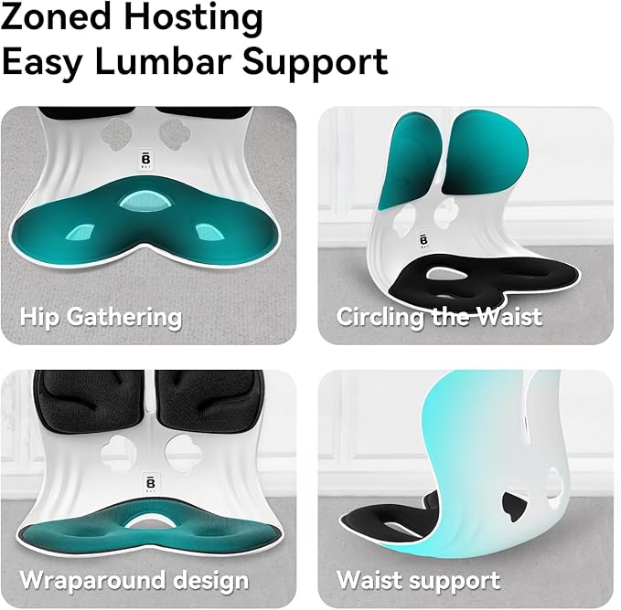 BKT Lumbar Support Seat Cushions Oversized Edition Ergonomic Office Chair for Students Office Workers Nursing Mothers Long Sitting Outdoor Fishing Floor Chair (L-Black)