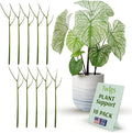 Twigs GA - Plant Support Stakes for Indoor & Outdoor Use, Durable Trellis Alternative for Climbing & Potted Plants, Houseplant Stem Holder Structures - Peony (Light Green), 10 Pack, 22" L, Original
