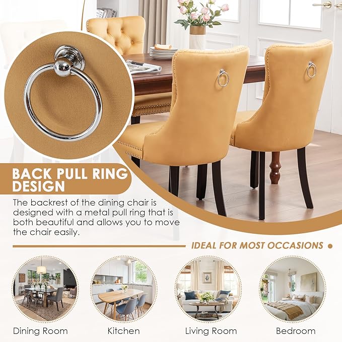 Kiztir Velvet Dining Chairs Set of 6, Upholstered Dining Room Chairs with Ring Pull Trim and Button Back, Luxury Tufted Dining Chairs for Living Room, Bedroom, Kitchen (Gold)