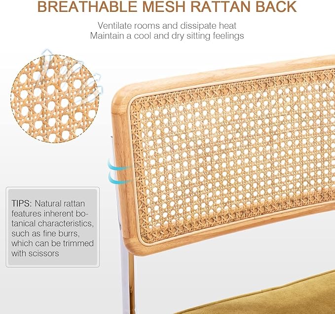Zesthouse Rattan Dining Chairs Set of 6, Mid Century Modern Dining Room Chairs with Natural Cane Mesh & Chrome Base, Yellow Velvet Cesca Chair, Farmhouse Kitchen Chair with Solid Wood Frame Back