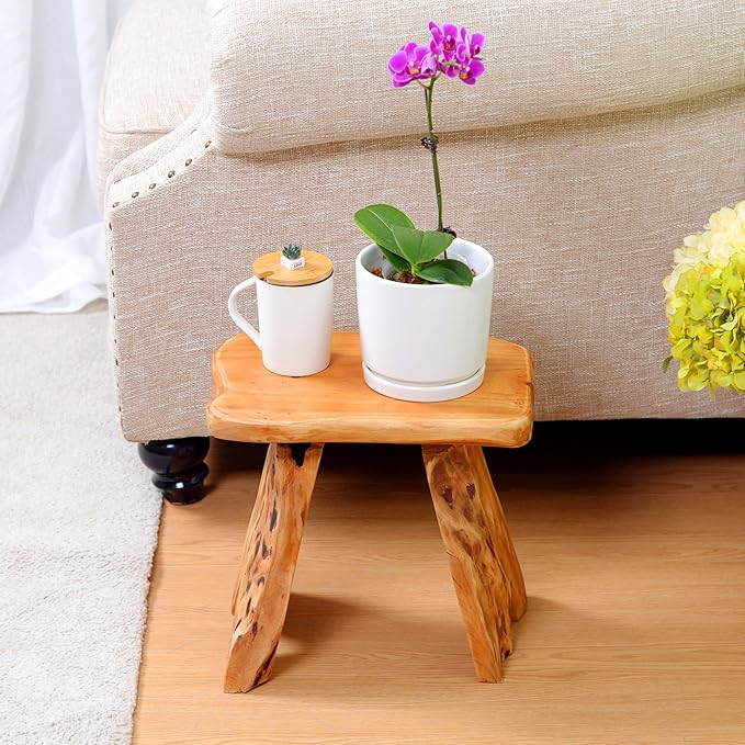Brefhome Cedar Wood Stump Outdoor/Indoor Side Table,Garden Stool End Table,Little Wooden Plant Stool,Small Wood Seat Stool, wood stool-3, Light Brown