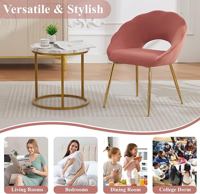 Modern Small Accent Chair Set of 4, Comfy Velvet Vanity Chair with Shell Back & Golden Metal Legs, Decorative Dining Chair no Wheels for Living Room, Makeup Room, Bedroom, Pink