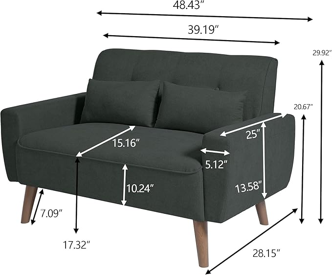 48" Loveseat Sofa, 2 Seater Love Seat Mid Century Modern Small Couches for Living Room Bedroom Apartment, 2 Throw Pillows and Plastic Legs, Black