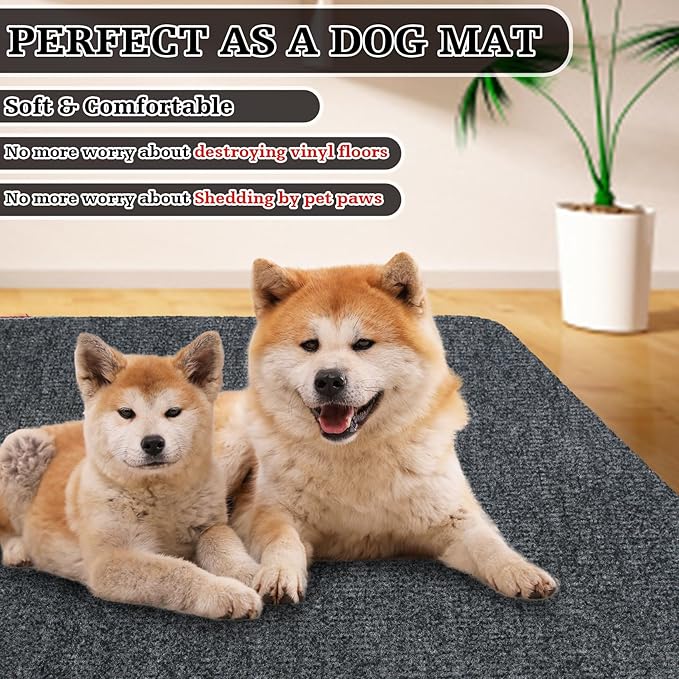 Doormats Outdoor and Indoor Ultra Thin Design, Strong Stain-Resistant Entryway Mats, Low Profile Inside Doormat, Non Slip Rubber Backing Bath Rug for Patio, Porch, 30" x 17"