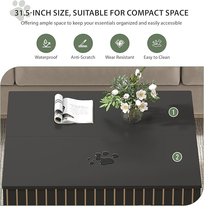 weselon 31.5" Square Coffee Table with Storage, Mid-Century Modern Center Table with Arched Cutouts and Carved Lines, 2-Tier Tea Table for Living Room, Cat-Friendly Base (Black)