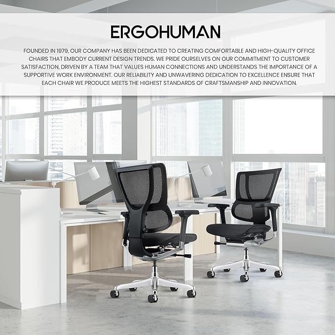Ergohuman Eurotech ME3ERG-XTREME Mid Back Mesh Office Chair with Tilt Tension Control, Tilt Lock, Back Angle, Back Height, Synchro Tilt, Seat Height, Seat Depth, and Arm Height Adjustments, Grey