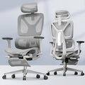 FLEXISPOT ErgoX Premium Ergonomic Office Chair with Footrest- Adjustable 3D Armrests, Dynamic Lumbar Support, Recline & Tilt Function, Mesh Seat, for Home & Office Use,Light Grey
