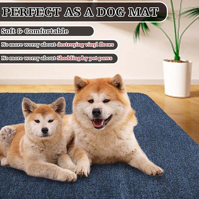 Front Door Mat Indoor Outdoor Entrance,30" x 17" Ultra Thin Low Profile Entry Rugs, Absorbent Door Mats and Muddy Doormats for Any Door, Entryway,Kitchen,Patio,Home