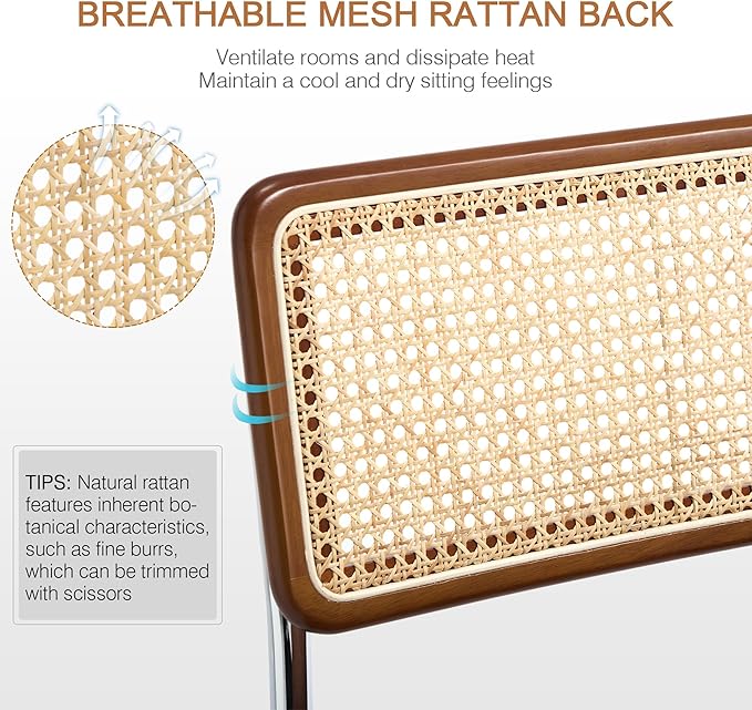 Zesthouse Rattan Dining Chairs Set of 2, Mid Century Modern Dining Room Chairs with Natural Cane Mesh & Chrome Base, Brown Cesca Chair for Kitchen, Breuer Design Inspired, Upholstered Chenille Fabric