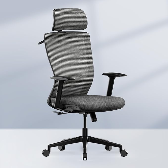 FLEXISPOT Classic Ergonomic Office Chair with High Back Swivel Computer Chair Executive Office Desk Chairs, with Lumbar Support/2D Headrest/Lockable Tilt Function, Foam Seat Cushion, Gray