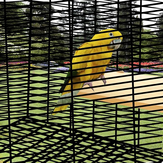 DIRBUY 4 Pack 5 x 12 Inches Bird Perches - Natural Wooden Flat Bird Perch - Rectangle Bird Perch Stand Platform for Parrot, Budgies, Parakeet, Cockatiels, Conure, Lovebirds