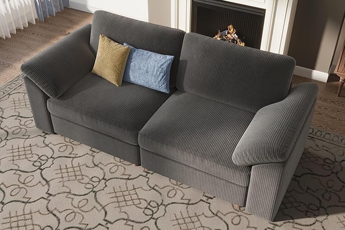 EASE MOOSE Comfty 2 Seat Couch,FSC Certified Modern Deep Seat Sectional Modular for Living Room