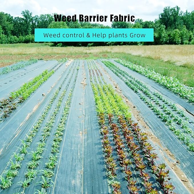 ExploreHorizon 3ft x 300ft Premium Weed Barrier Landscape Fabric, 3.24 oz Heavy Duty, Weed Control Fabric, High Permeability, Good for Flower Bed, Driveway Fabric and Ground Cover