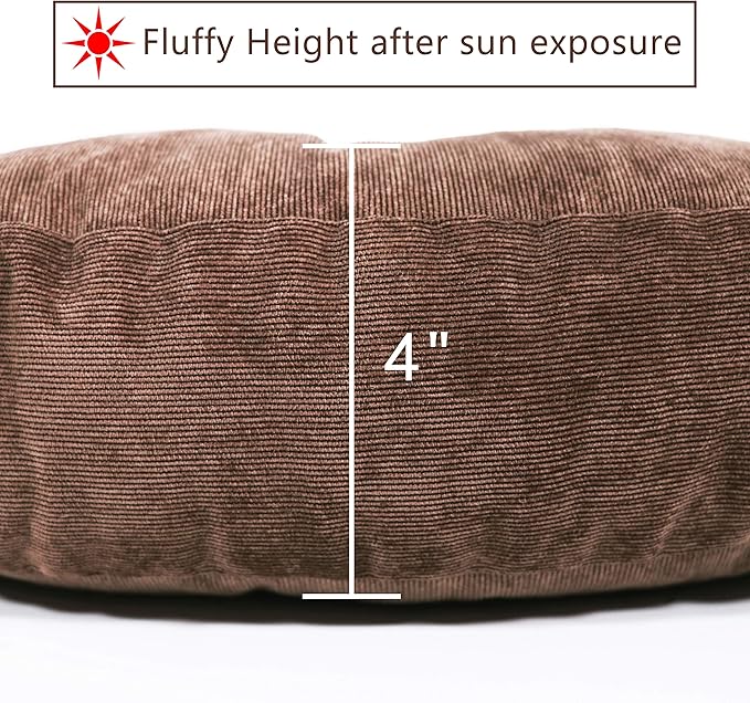 Tiita Indoor/Outdoor Chair Cushions 22" x 22" Seat Pillow Cushion Set of 2 Square Chair Pads for Sitting Patio Garden Floor Throw Pillows, Coffee