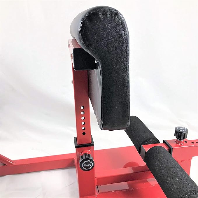 X-Factor Sissy Squat - Push Ab Ab Dip Workout Fitness Gym 3-in-1 Sit Up Machine